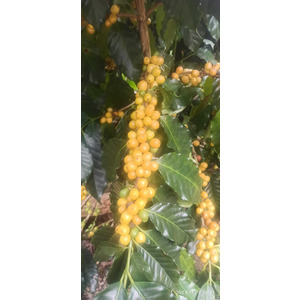 我的雲名片