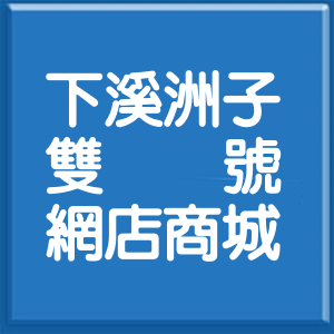 桃園市下溪洲子雙號網店商城